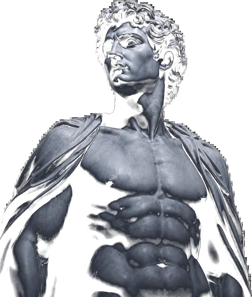Estatua classica em destaque na biblioteca visual